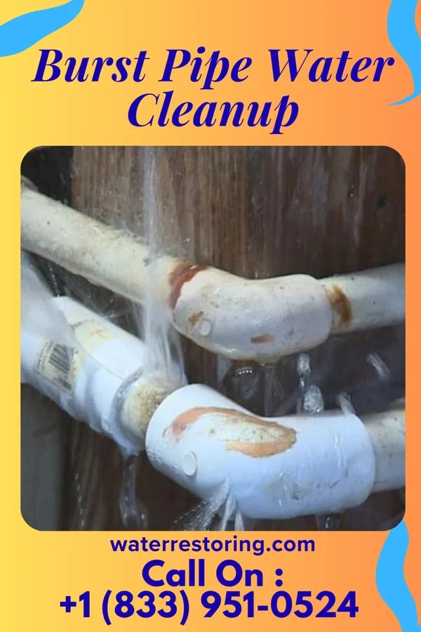 Burst Pipe Water Cleanup in Front Royal, VA