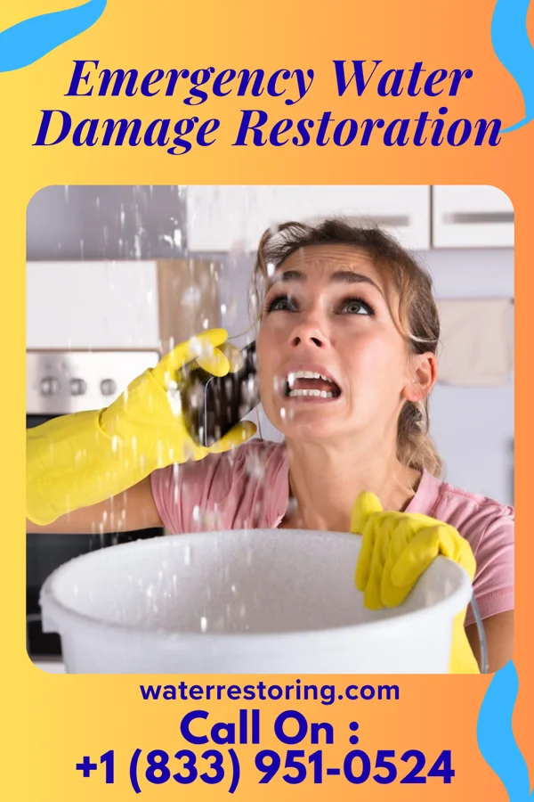 Emergency Water Damage Restoration in Front Royal, VA