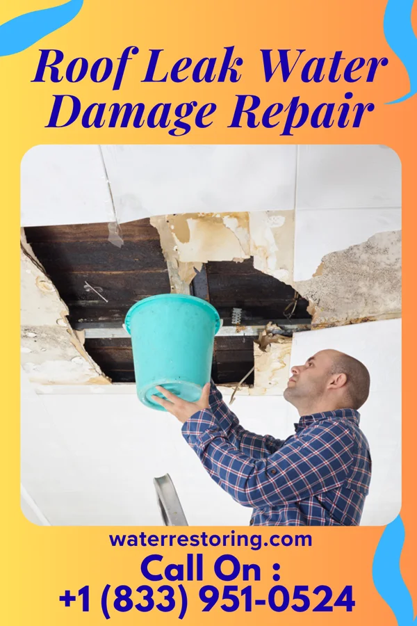 Roof Leak Water Damage Repair in Front Royal, VA