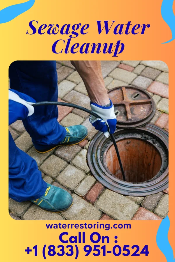 Sewage Water Cleanup in Front Royal, VA