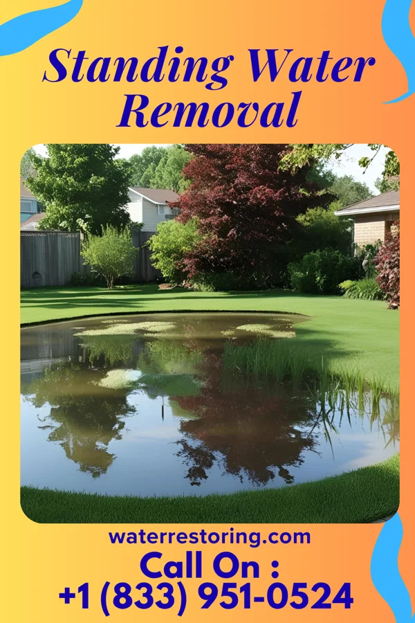 Standing Water Removal in Front Royal, VA
